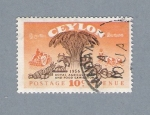 Stamps Sri Lanka -  Exposición de Agricultura