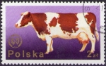 Stamps Poland -  Vaca