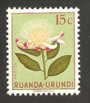 Sellos de Africa - Rwanda -  flora, protea