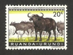 Sellos de Africa - Rwanda -  fauna, búfalos