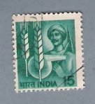 Stamps : Asia : India :  Espigas