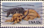 Sellos de America - Estados Unidos -  Perro y gato