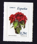 Stamps Spain -  Flora (Flor de Pascua)