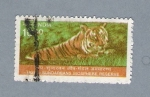 Stamps : Asia : India :  Reserva de Tigres
