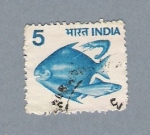 Stamps : Asia : India :  Pezes