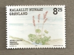 Stamps Greenland -  Oxyria digyna