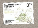 Stamps Greenland -  Ligusticum scoticum