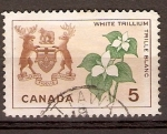 Stamps : America : Canada :  ESCUDO  Y  FLOR