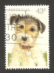 Stamps Australia -  un perro
