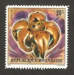 Stamps Rwanda -  champiñón, geaster