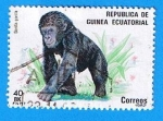 Stamps : Africa : Equatorial_Guinea :  Gorila