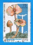 Stamps : Africa : Equatorial_Guinea :  Termitomyces Globulos