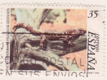 Stamps : Europe : Spain :  Fauna en peligro de extinción. Lagarto gigante de El Hierro