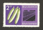 Stamps : Europe : Bulgaria :  pepinos