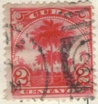 Stamps Cuba -  pi CUBA palmera 2c