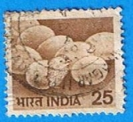 Stamps : Asia : India :  Pollos