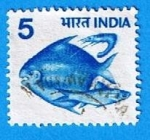 Stamps : Asia : India :  Peces