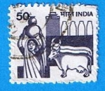 Stamps : Asia : India :  Vacas