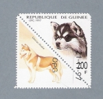 Stamps : Africa : Guinea :  Siberian Huskie