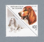 Stamps : Africa : Guinea :  Basset Hound