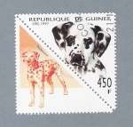 Stamps : Africa : Guinea :  Dalmata