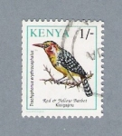 Stamps Africa - Kenya -  Pajarito