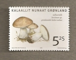 Stamps Europe - Greenland -  Seta Leccinum
