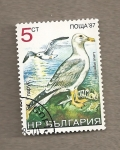 Sellos de Europa - Bulgaria -  Aves
