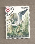 Stamps Bulgaria -  Aves