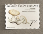 Stamps Europe - Greenland -  Seta Amanita groenlandica