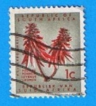 Stamps South Africa -  Planta