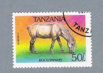 Stamps : Africa : Tanzania :  Boulonnais