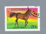 Stamps Tanzania -  Norman- Arabe