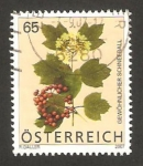 Stamps Austria -  flor, gewohnlicher schneeball 