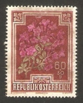 Stamps Austria -  emisión de ayuda contra la tuberculosis, flora, rhododendron 