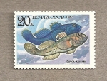 Stamps Russia -  Pez Neoglobus fluvialis