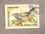 Stamps Russia -  Paro siberiano