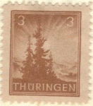 Stamps Germany -  ALEMANIA 1945 (M SBZ1) Navidad Turingia 3