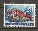 Sellos de Europa - Yugoslavia -  Palinurus Vulgaris.