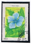 Stamps Afghanistan -  Vinca major