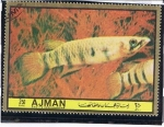 Stamps : Asia : United_Arab_Emirates :  Peces