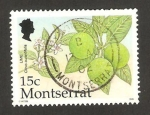 Stamps United Kingdom -  MONTSERRAT - Limones
