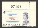 Stamps America - Bahamas -  elizabeth II, flamenco rosa