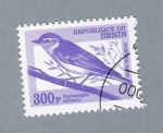 Stamps Benin -  Pajarito