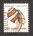 Stamps Singapore -  caracola aplustrum amplustre