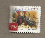 Stamps Australia -  Ave Staganopleura bella