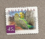 Stamps Australia -  Periquito australiano