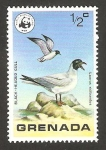 Stamps : America : Grenada :  ave salvaje, grulla de cabeza negra