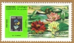 Stamps United Arab Emirates -  SHARJAH - Eventos 1970