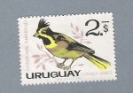 Stamps : America : Uruguay :  Cardenal Amarillo